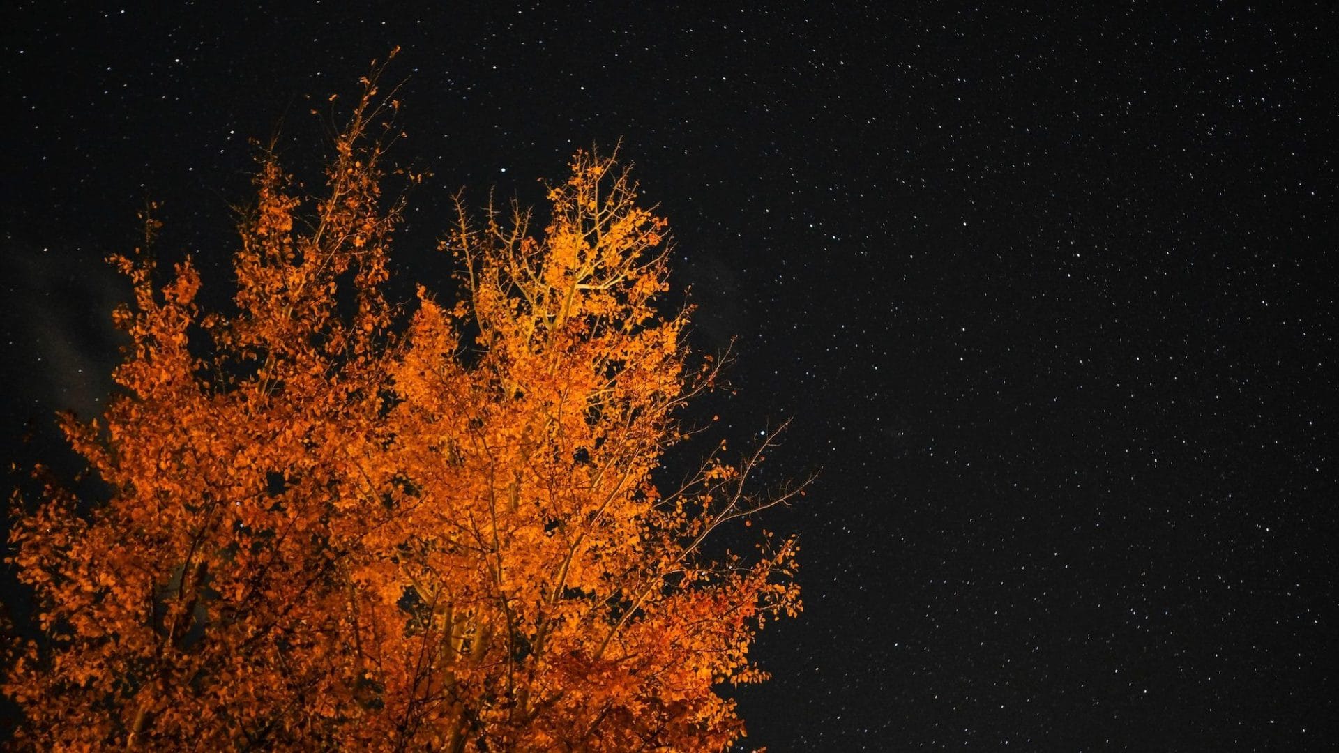 第3回石川県総合模試の数学を解いてみた