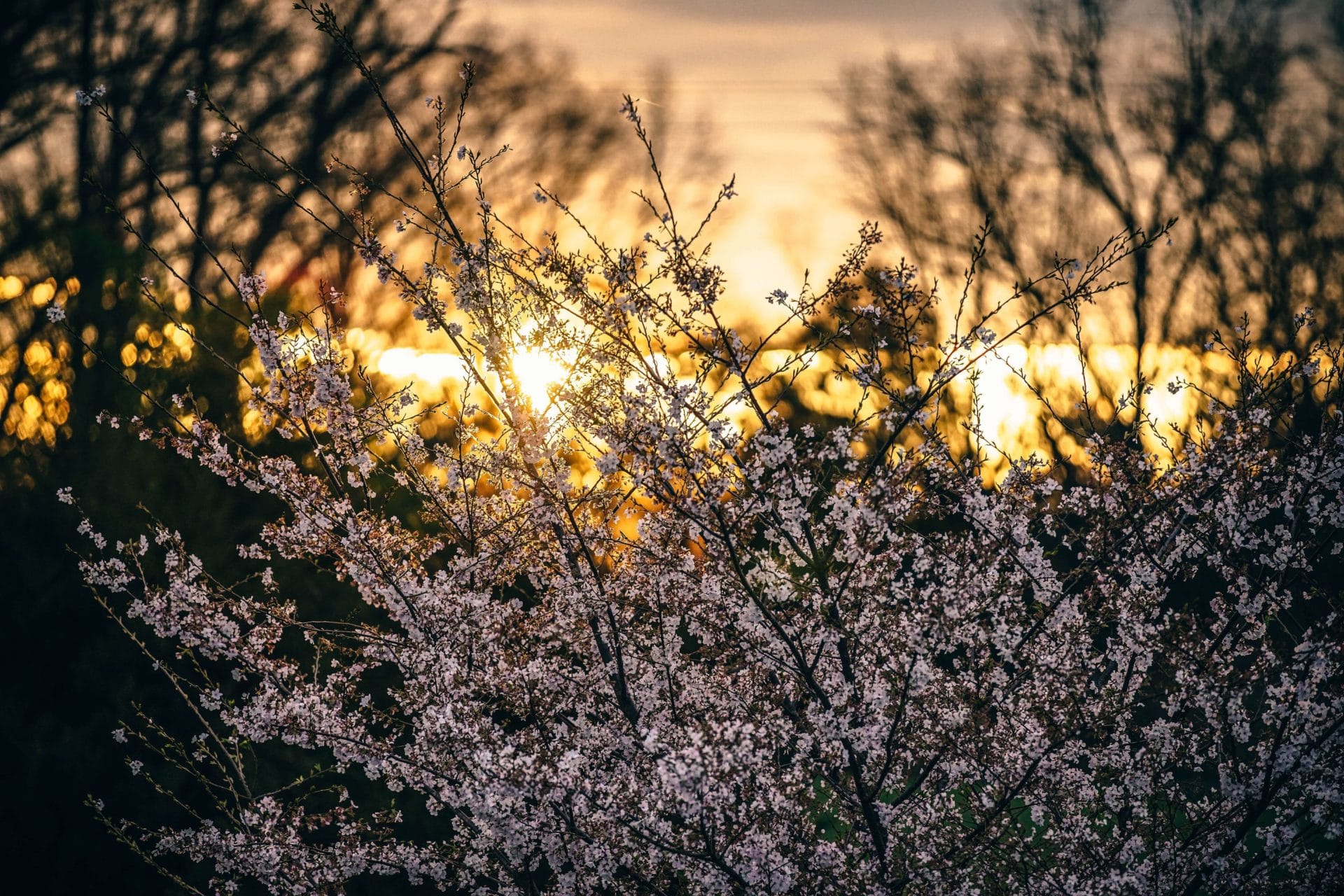 テストの採点をしながらあれこれと
