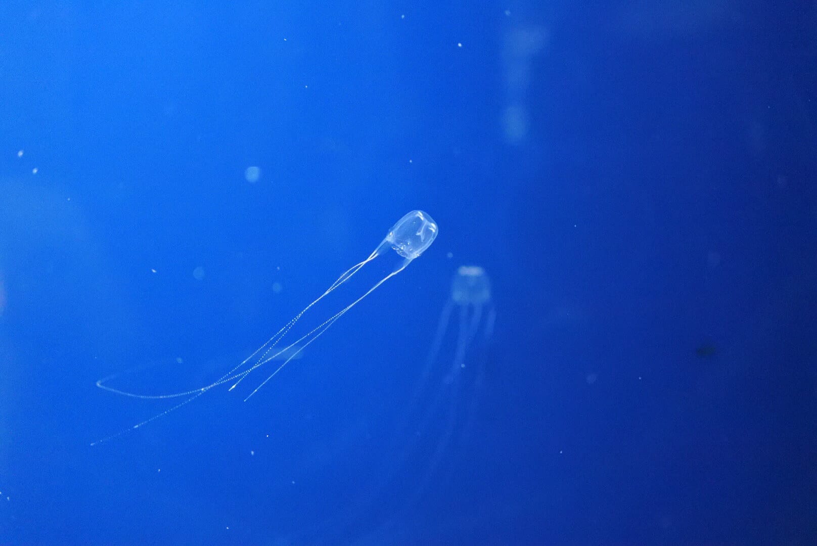 模試の結果が悪かった場合に