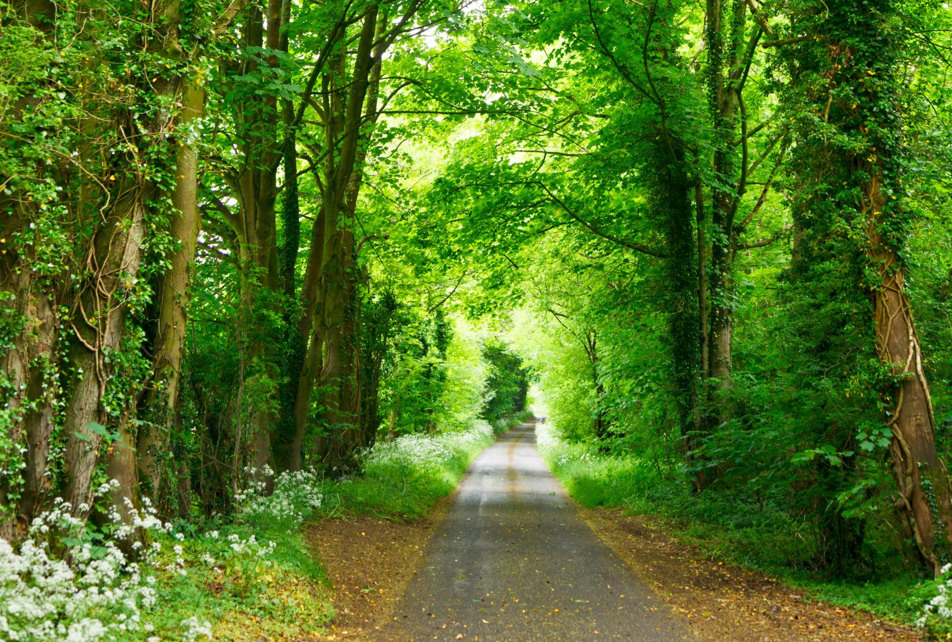 お問い合わせについてのお願い