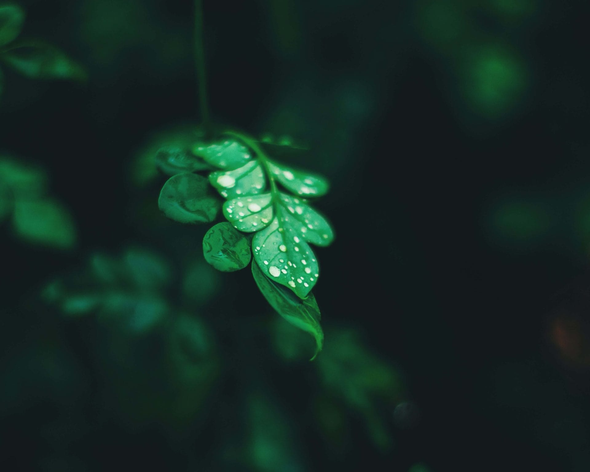 来週から通常授業を再開します