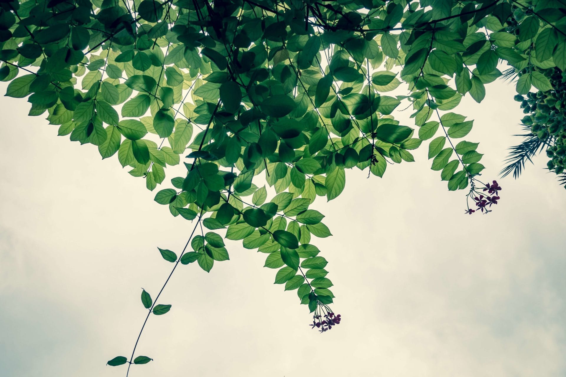 三角関数の応用問題ができない人に共通するアレ