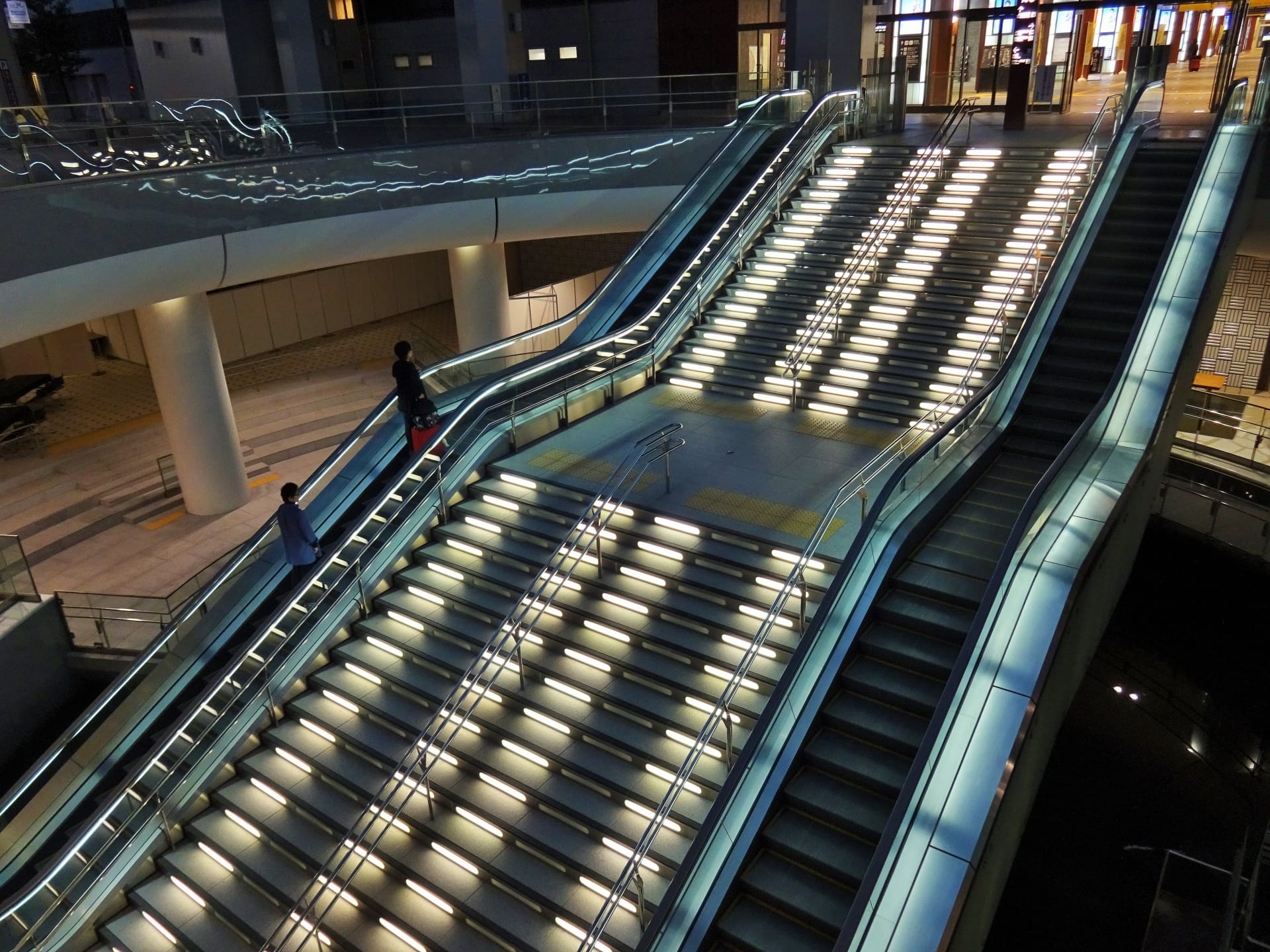 散歩が習慣化されて足腰も鍛えられているのだ！