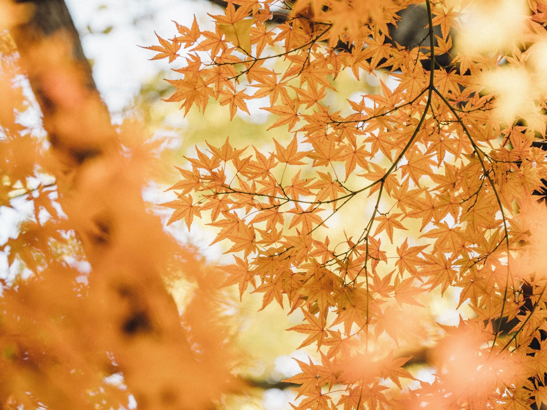 ちょっと一休み！