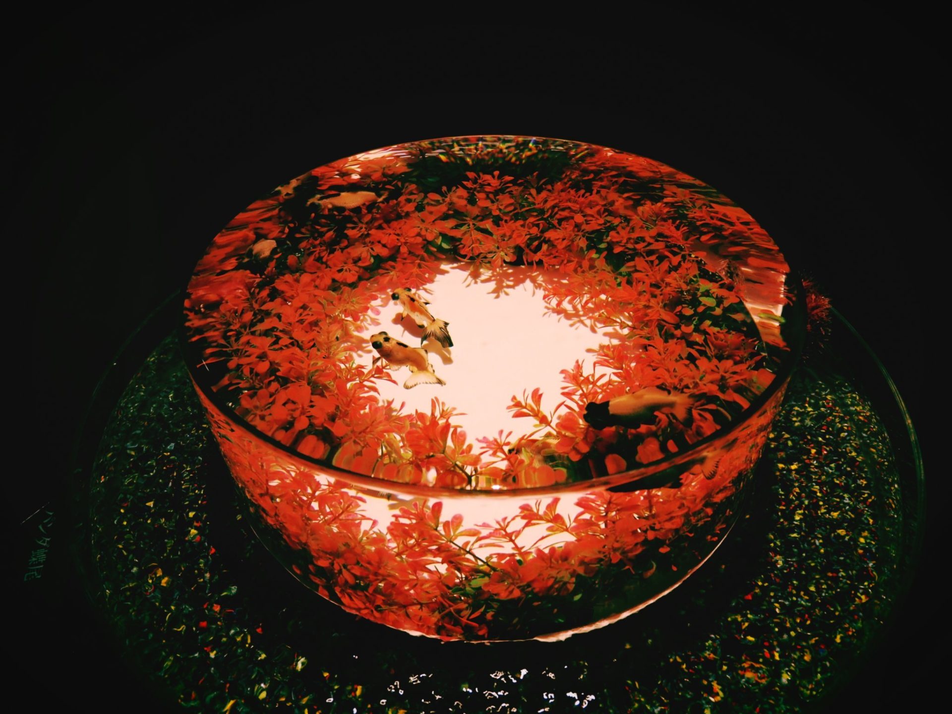 10月は何だか真面目な記事ばかり書いちゃったので