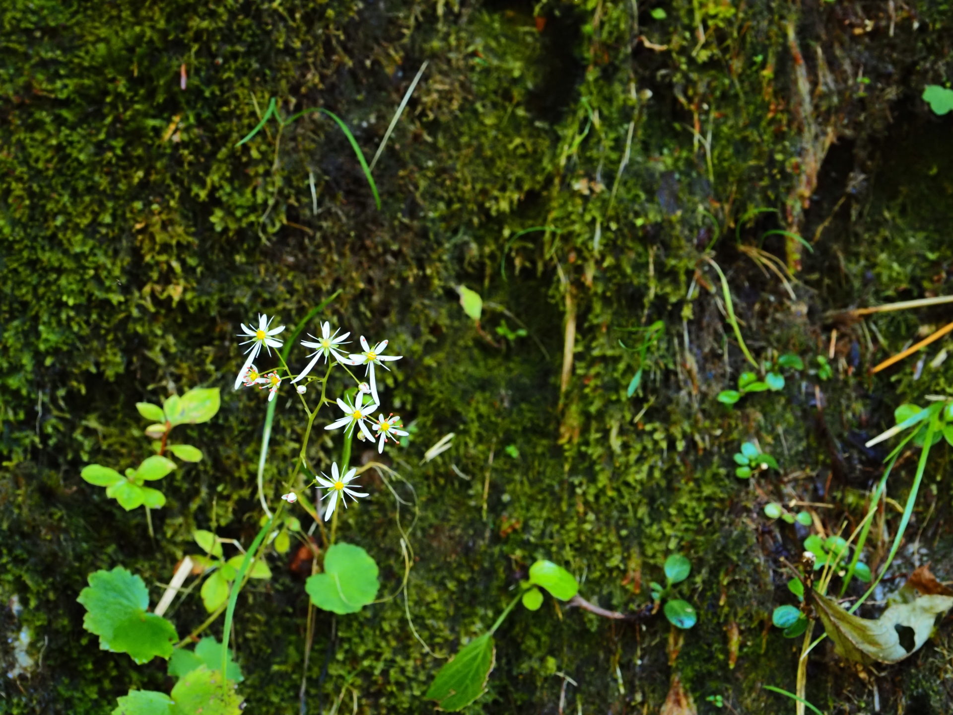 できていたとしても反省はあるもので