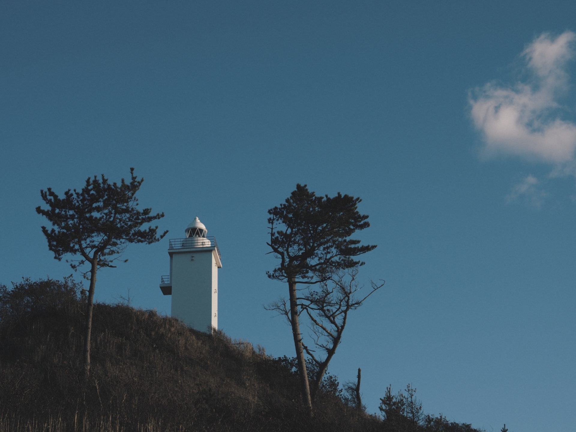 石川県総合模試の結果を見て