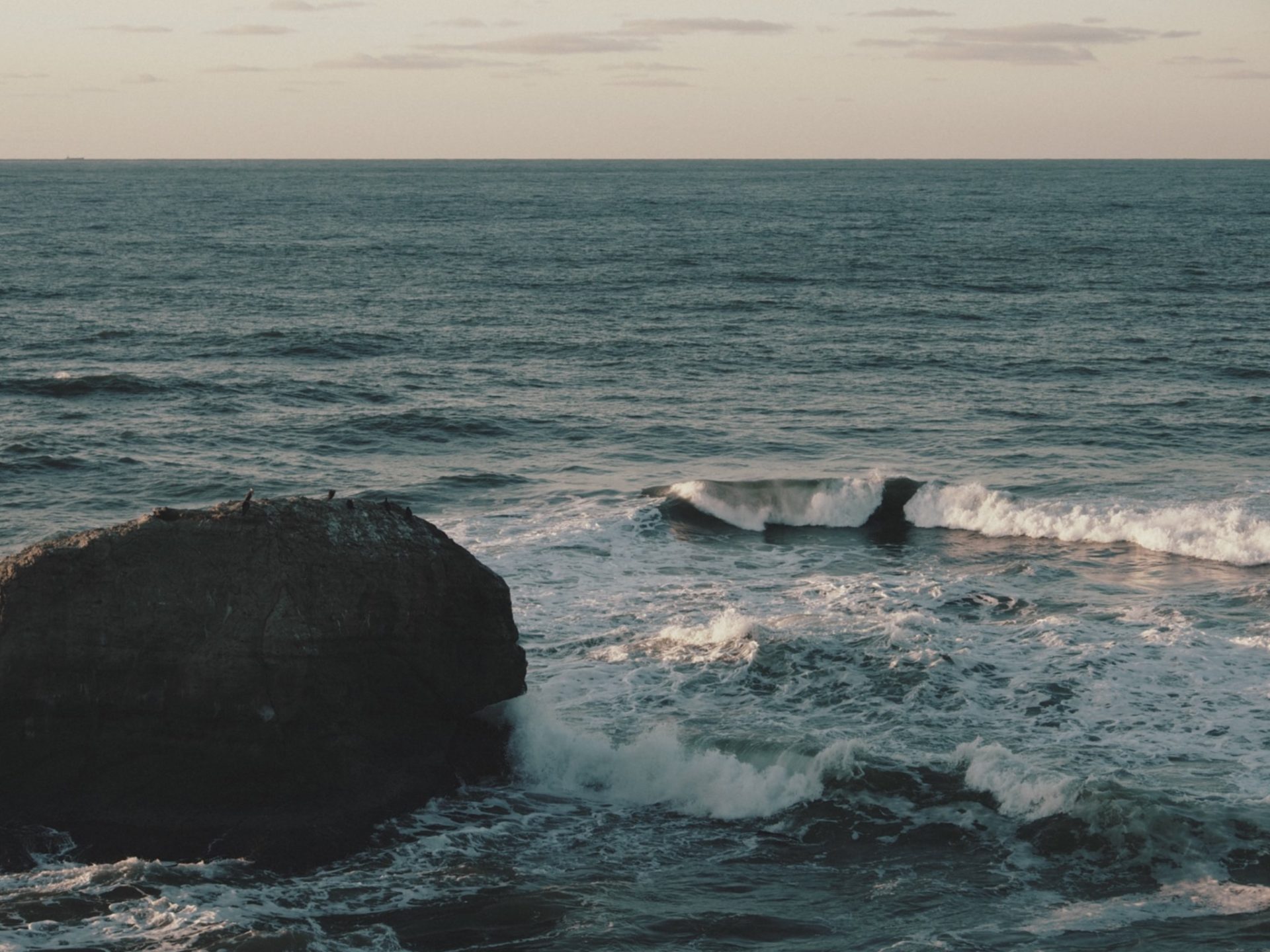 2年目の共通テストを終えて