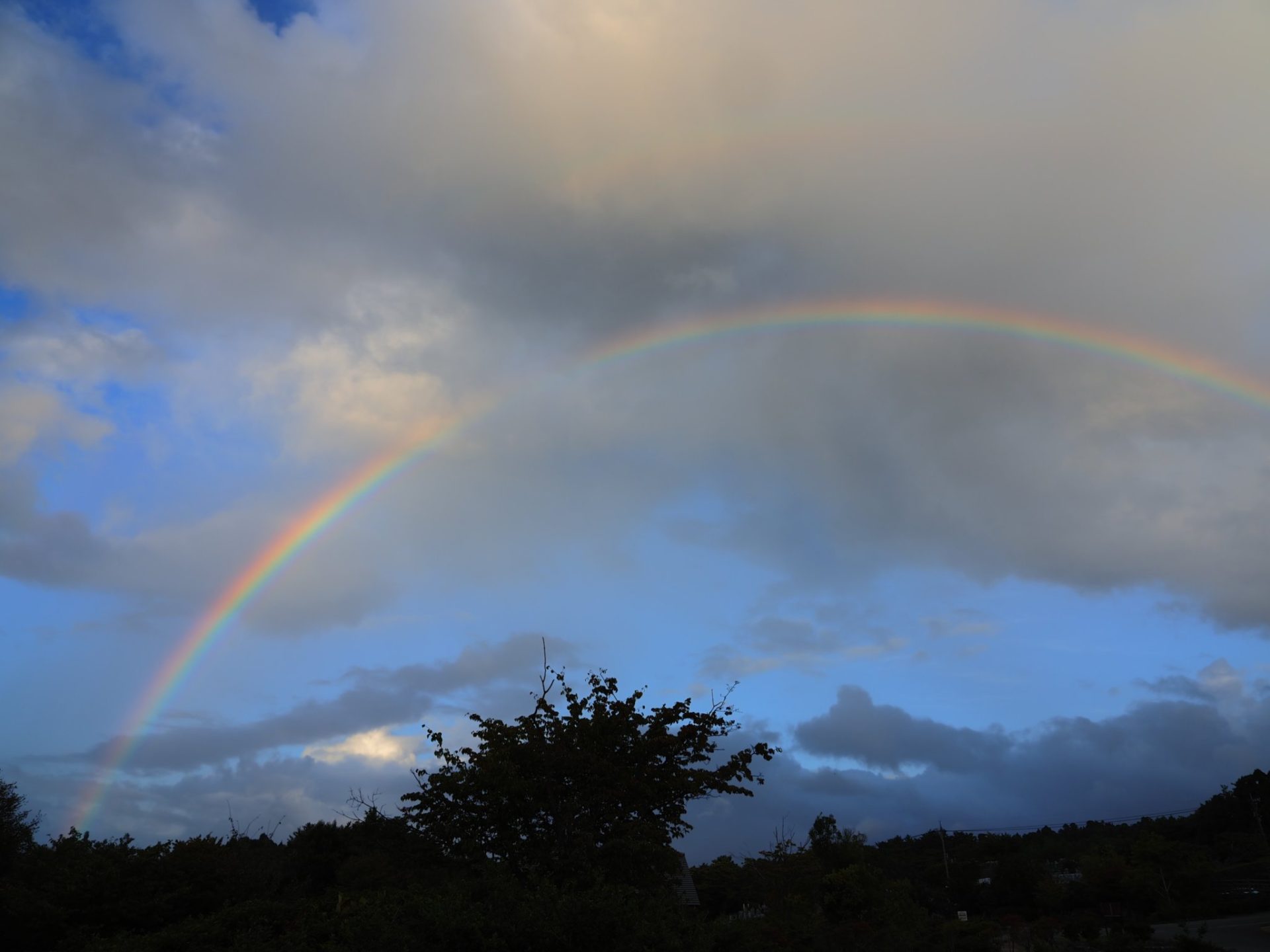 悩みまくるのがふつうです