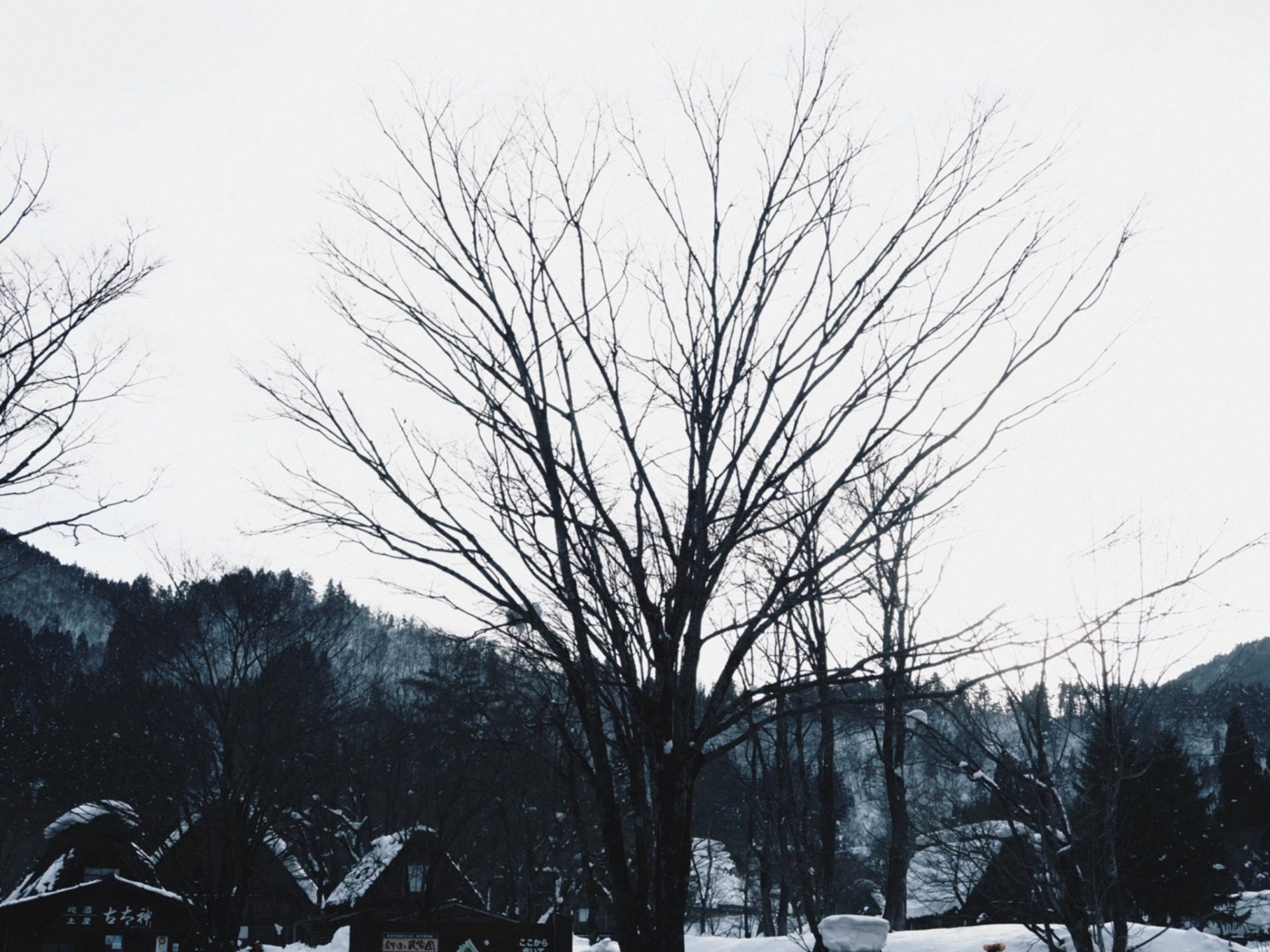 2021年度第2回金沢市統一テストの結果と