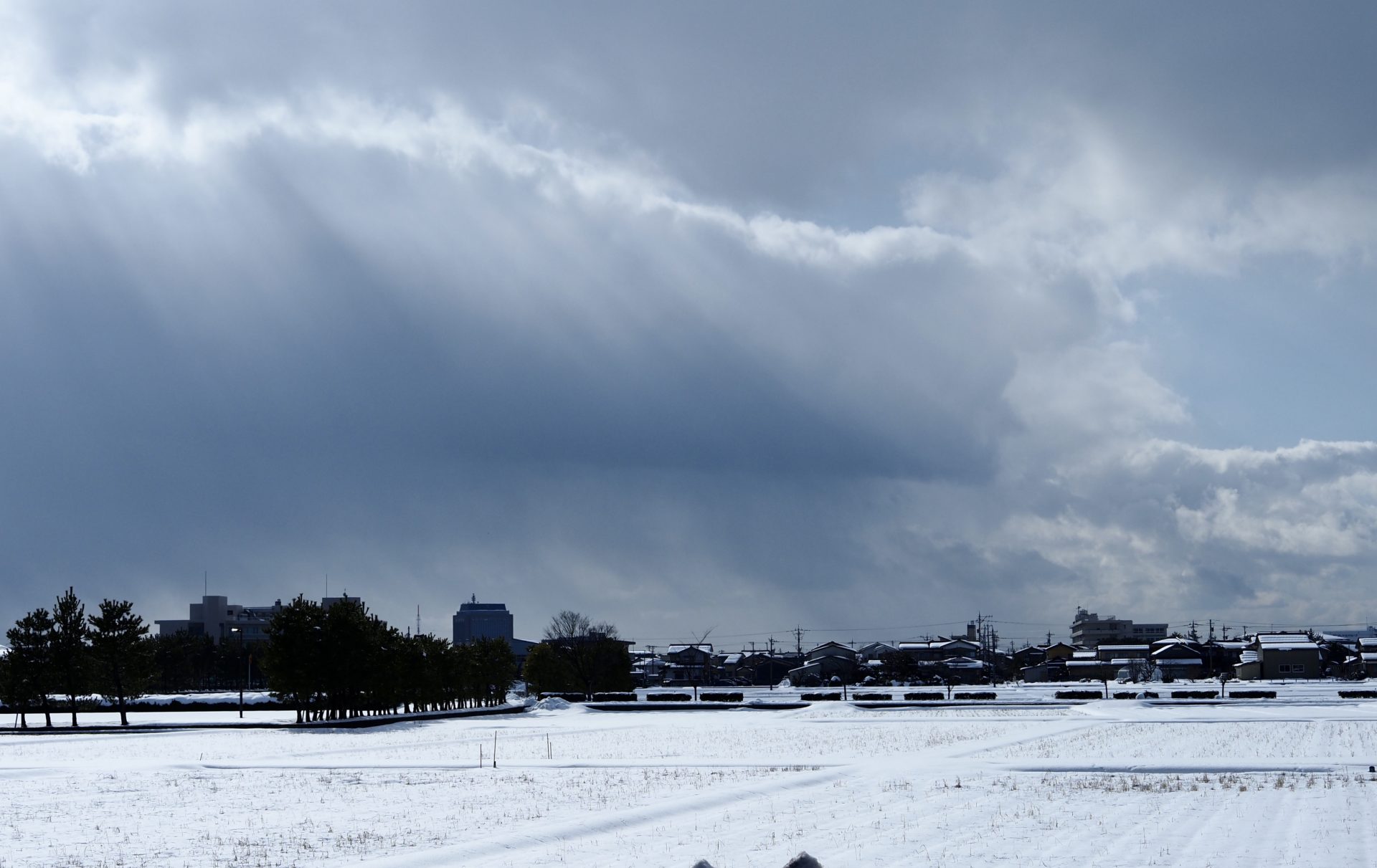 入試直前期に感じたあれこれ