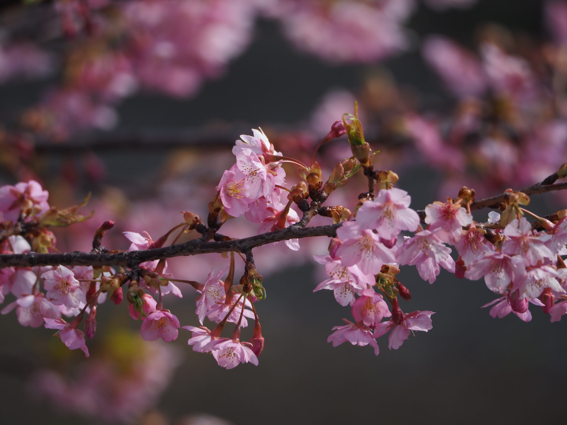 次の一歩を踏み出すために