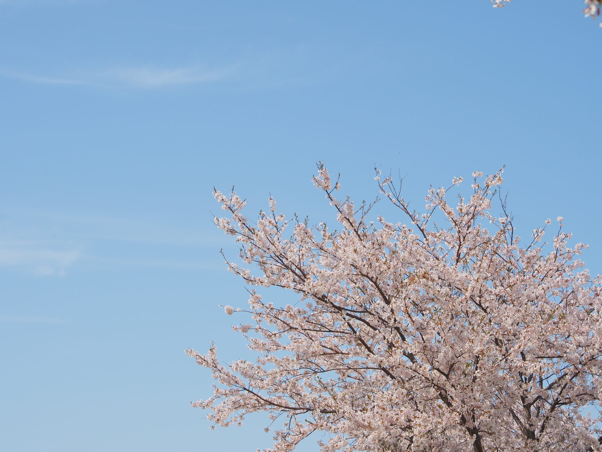 計算の単元を甘く見ちゃいかん！