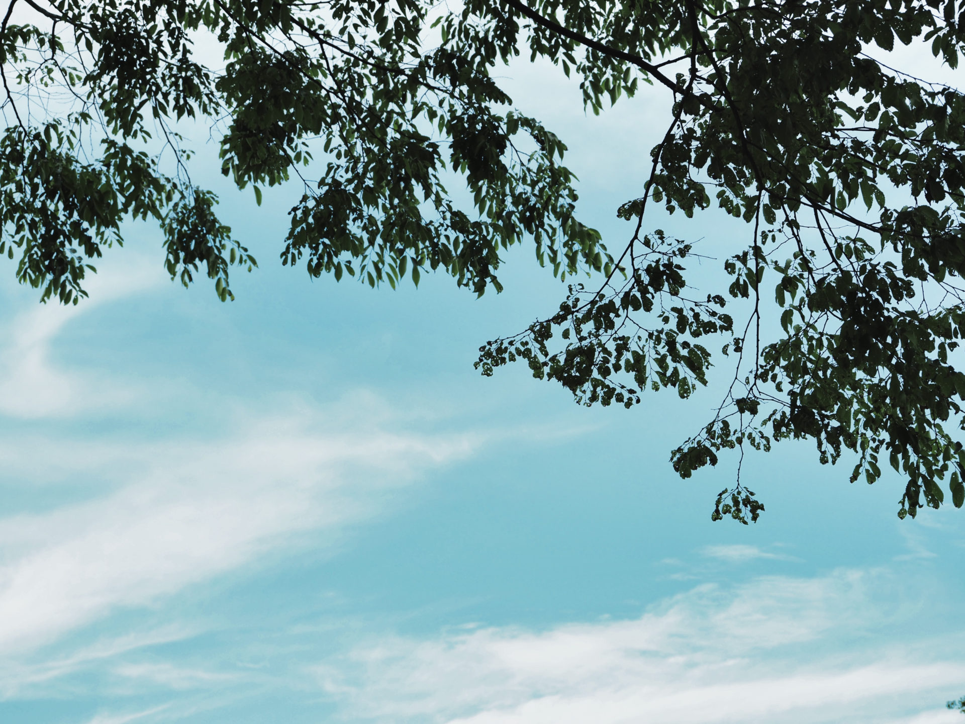 それ、自分で確認できますよ