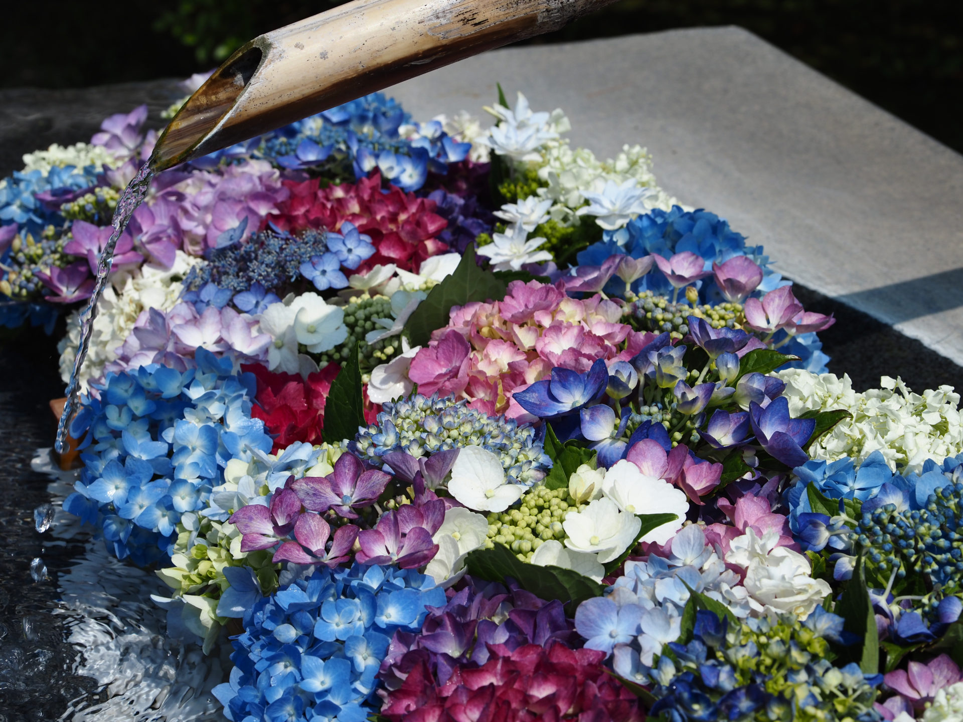 とりあえず解けるようにする?