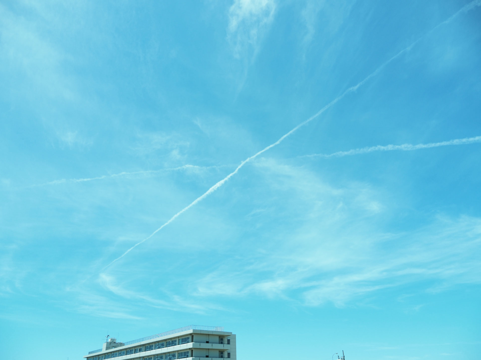 明日から8月ですね