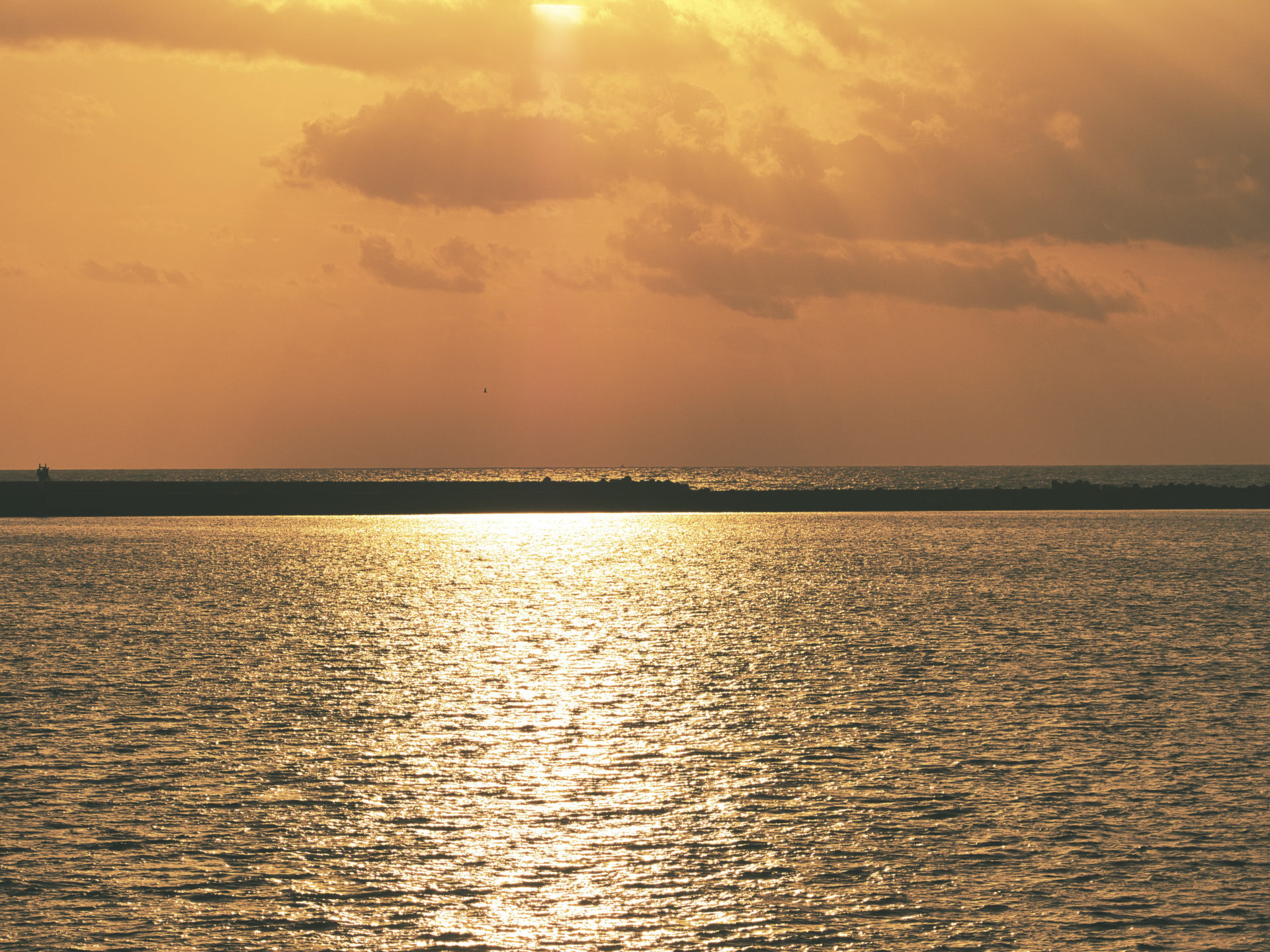 【締切日倍率】2023年度石川県公立高校入試の出願状況【中間発表】