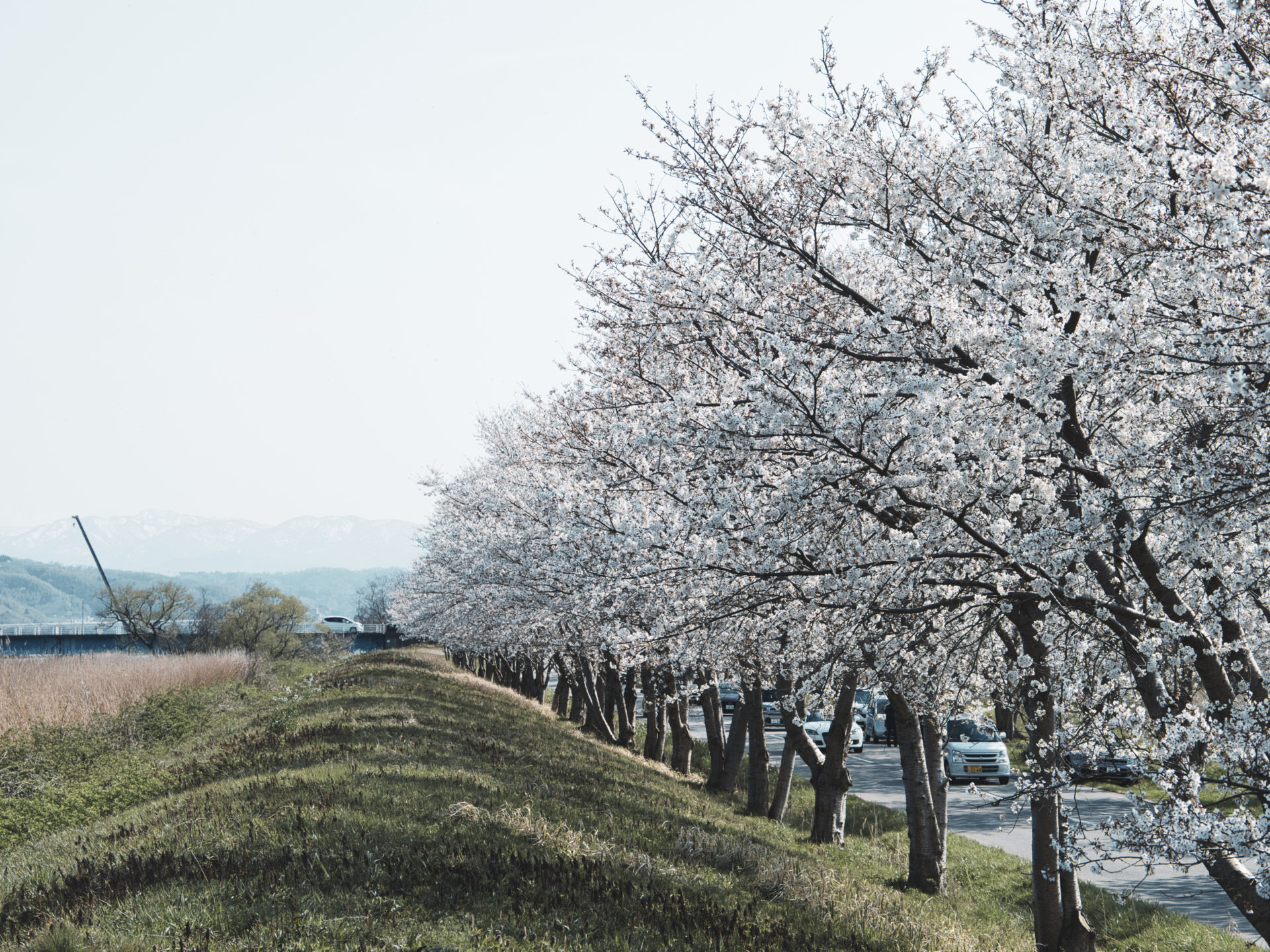 たすきがけ、再び！