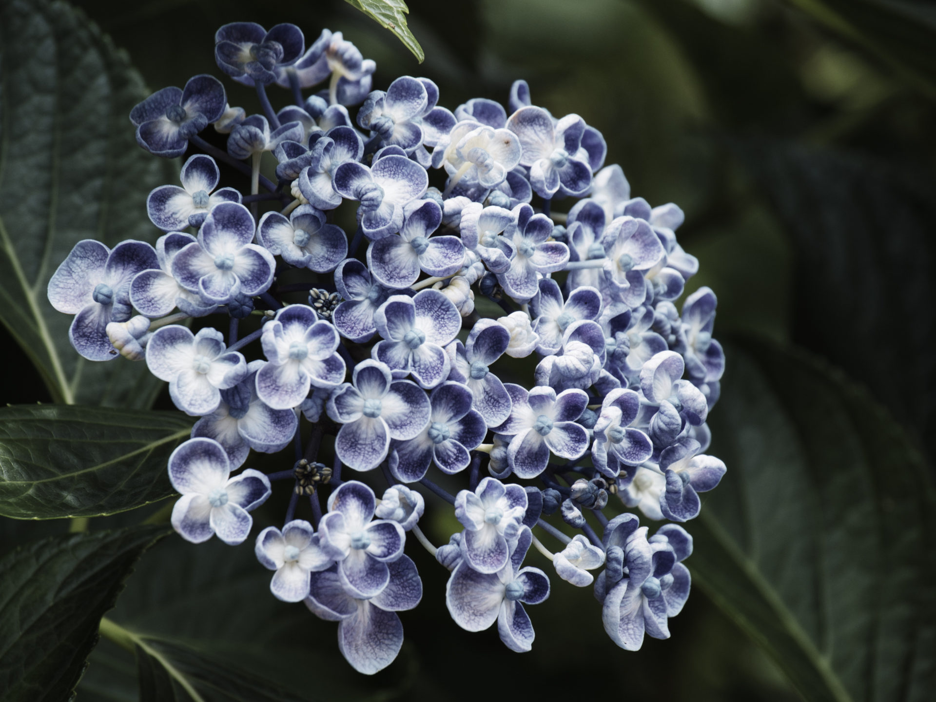 数字は分かりやすい指標の一つですが