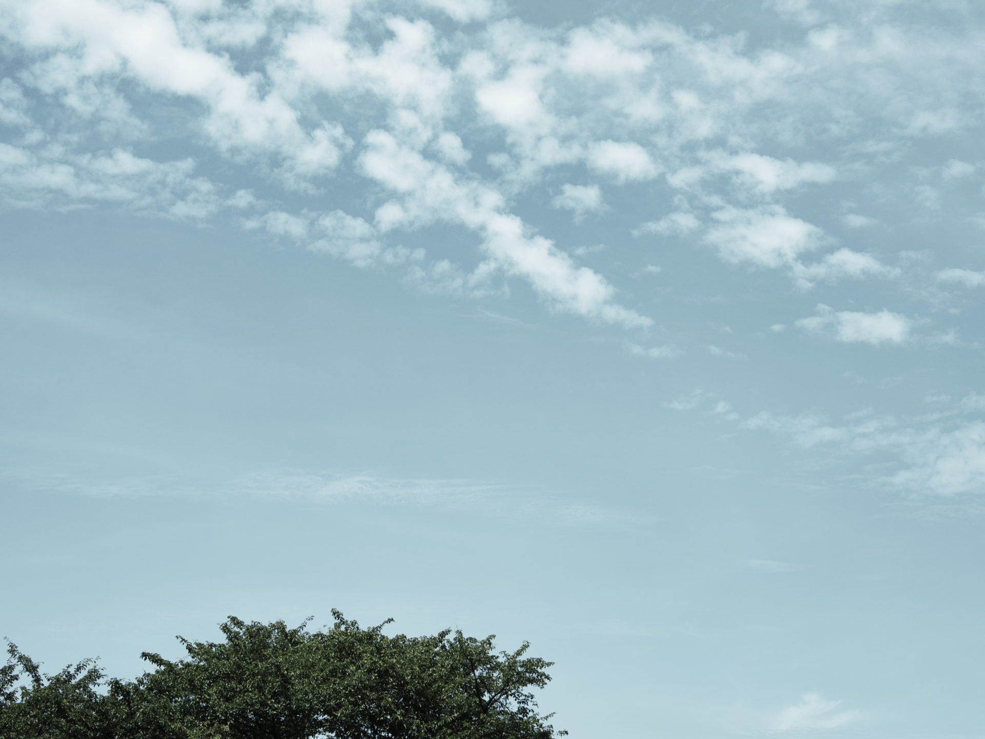 2023第1回石川県総合模試の結果を見ながら