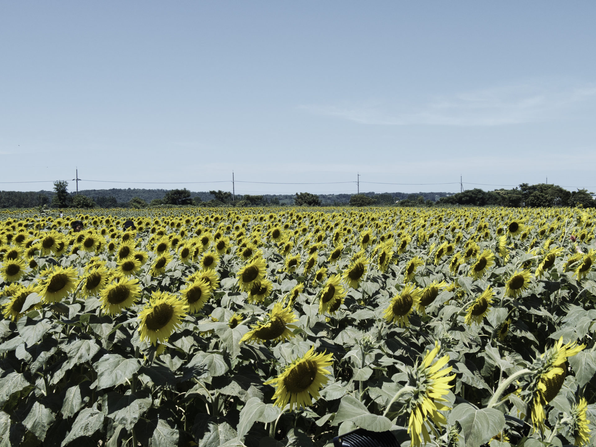 後半戦が始まります