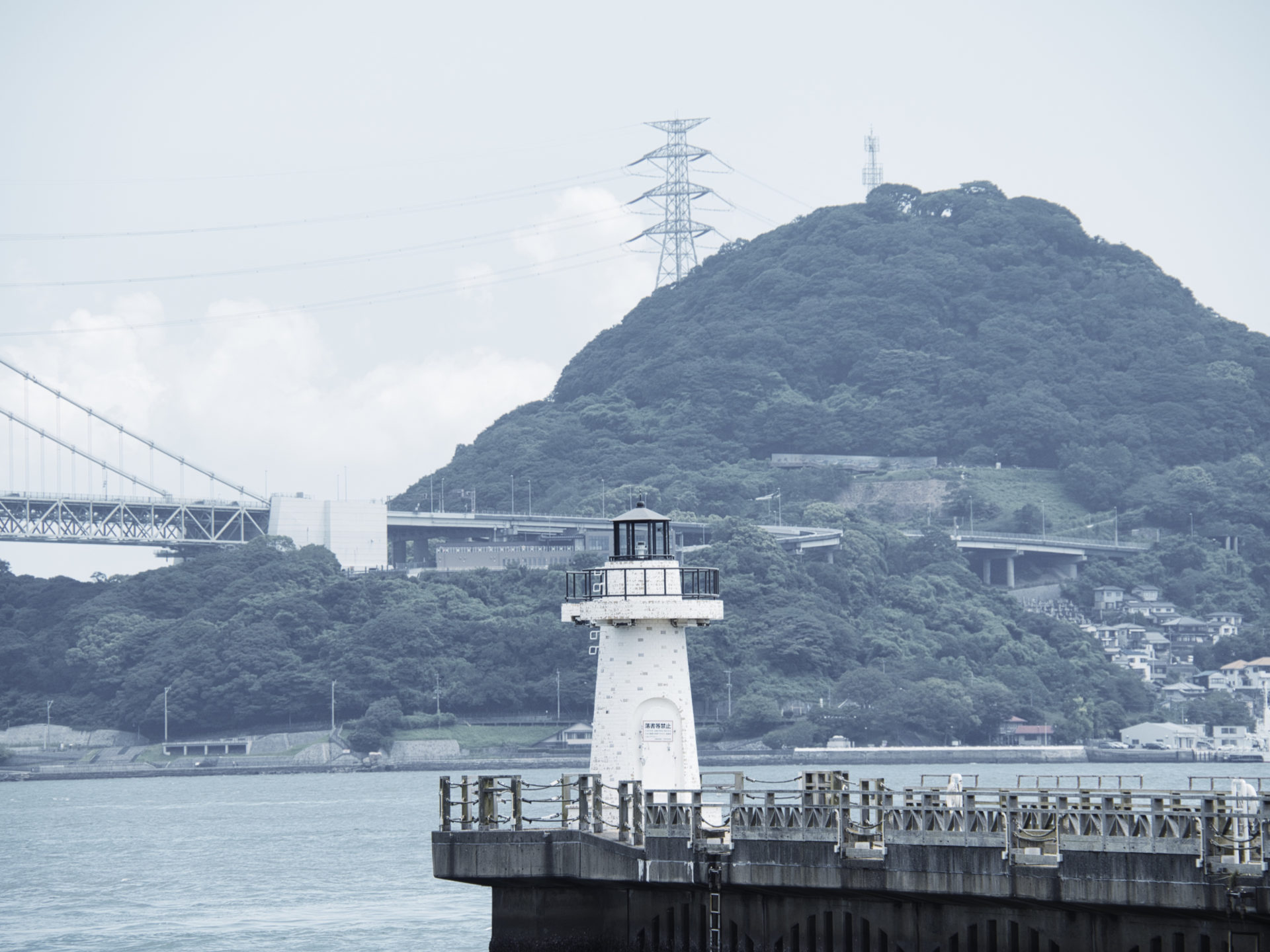 夏の成果はいかほどに