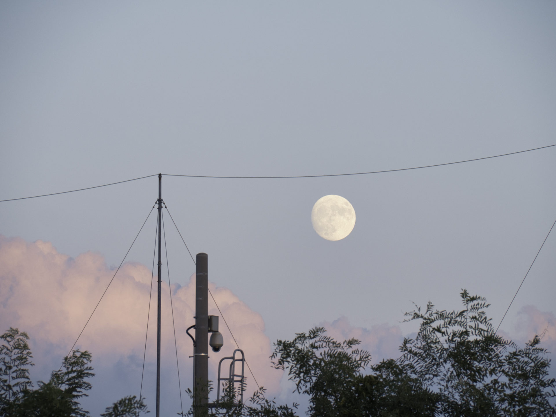 発想というもの