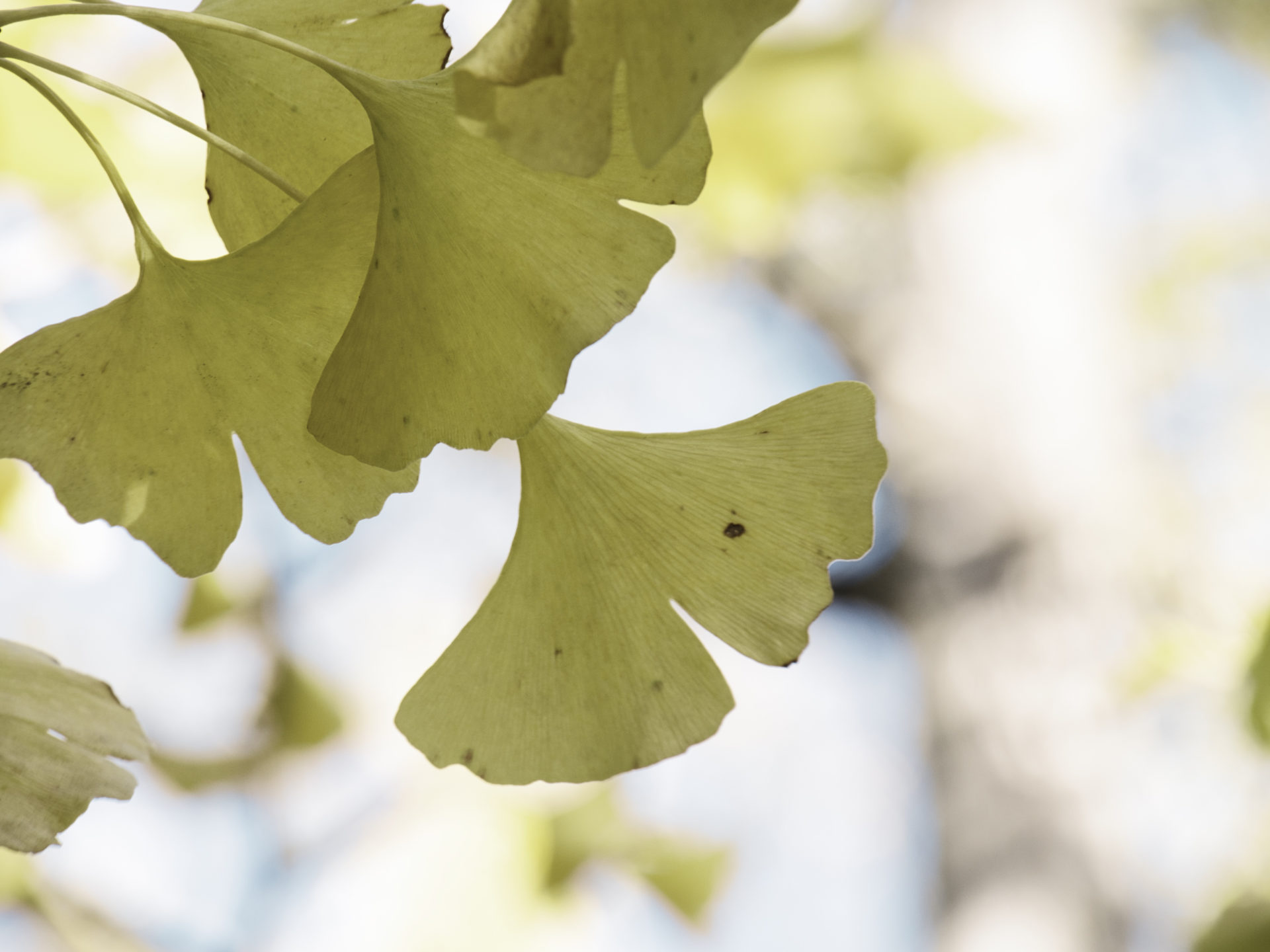 2023第5回石川県総合模試の数学を解いてみた