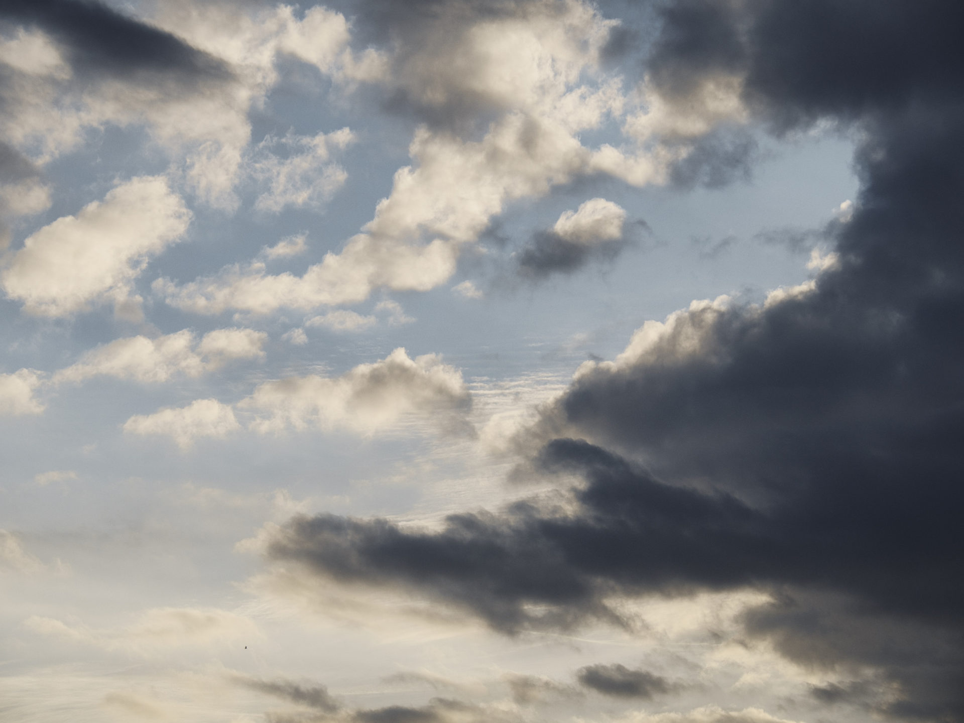 2023年度第7回石川県総合模試の結果から