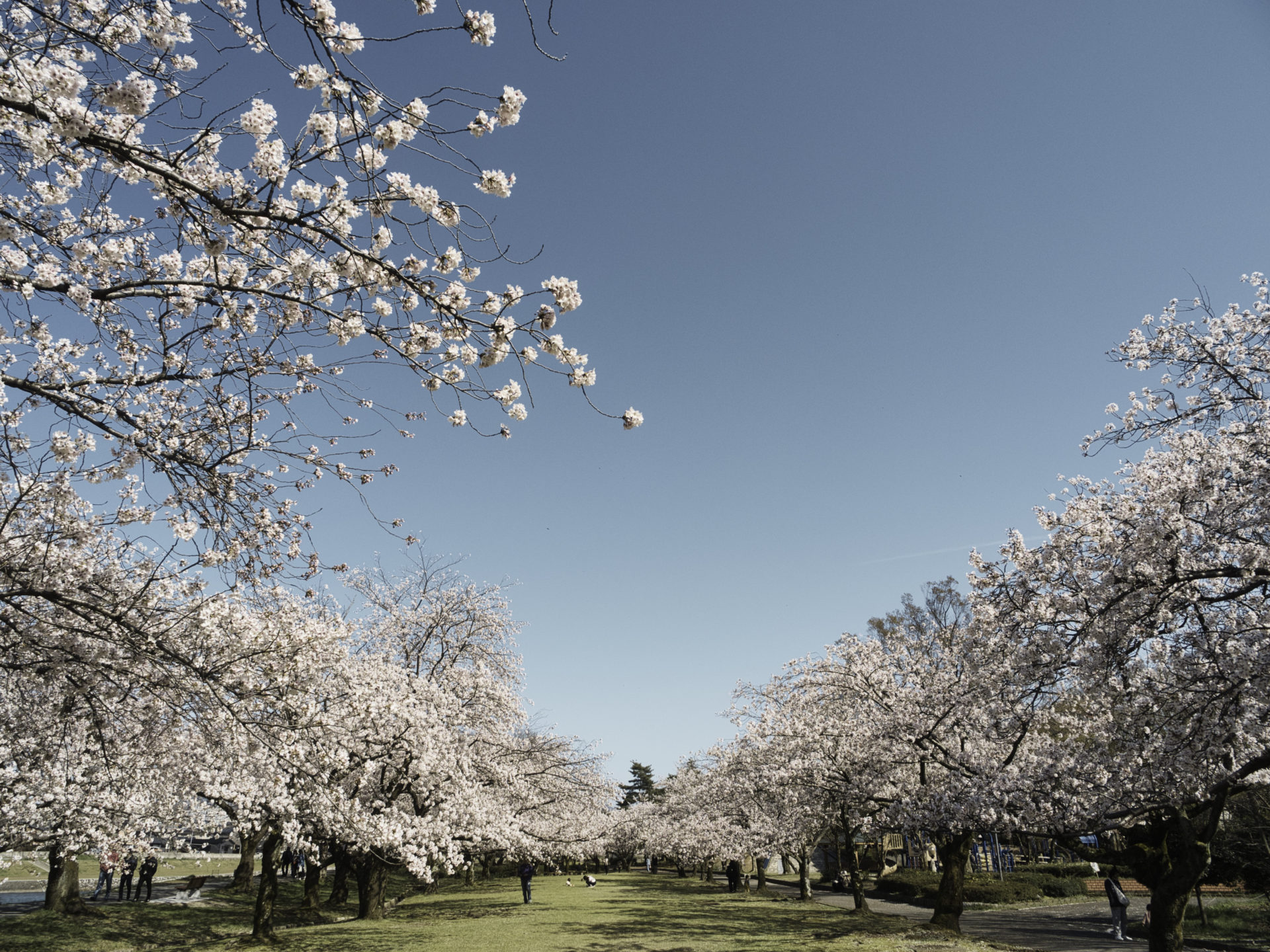 ただ覚えることからの脱却