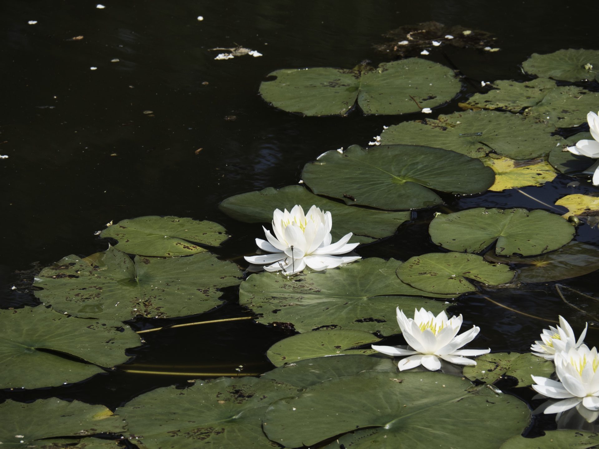 定期考査が終わった高校生が多いようなので
