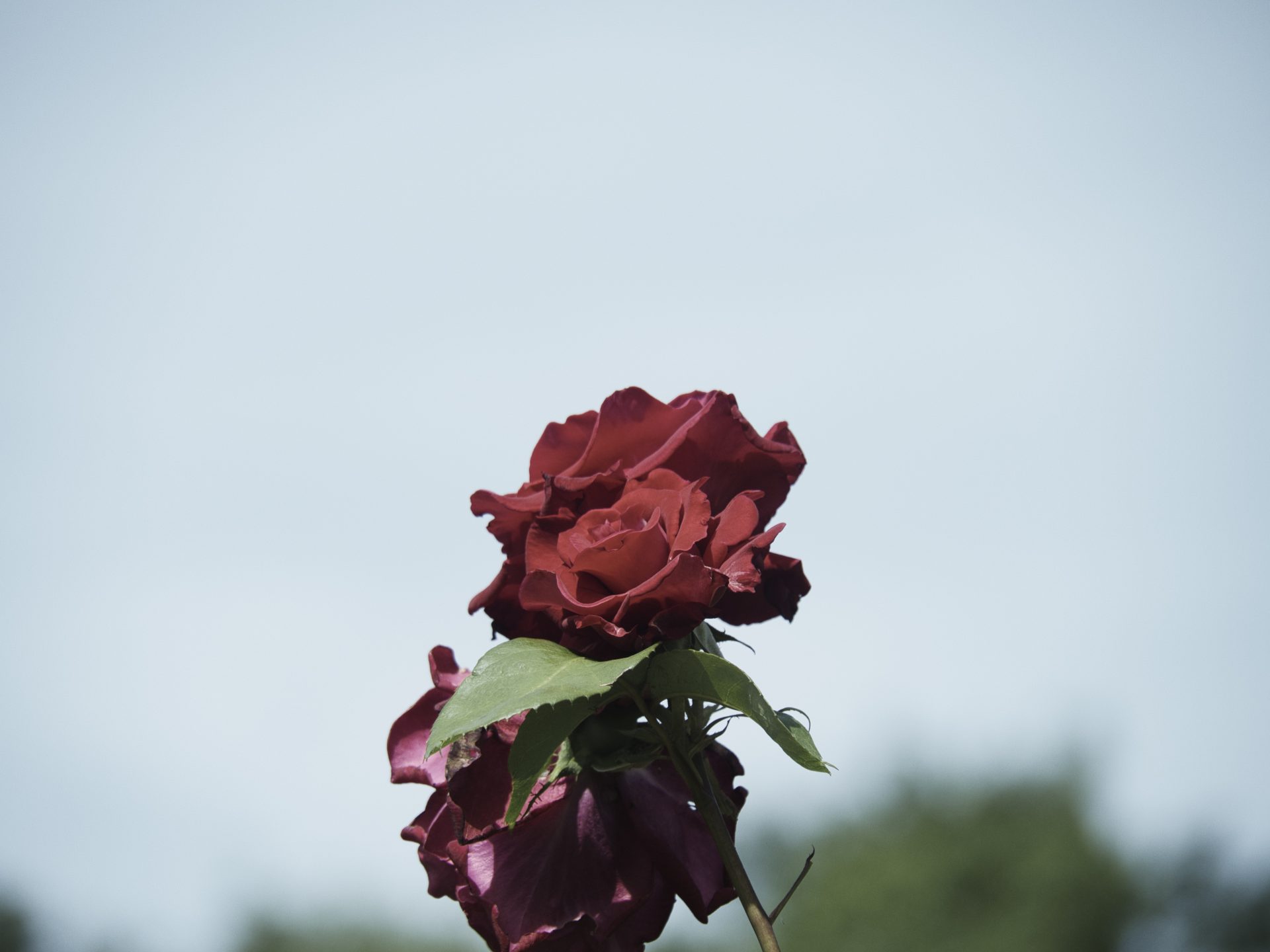 自分の理解度をしっかりと測ること