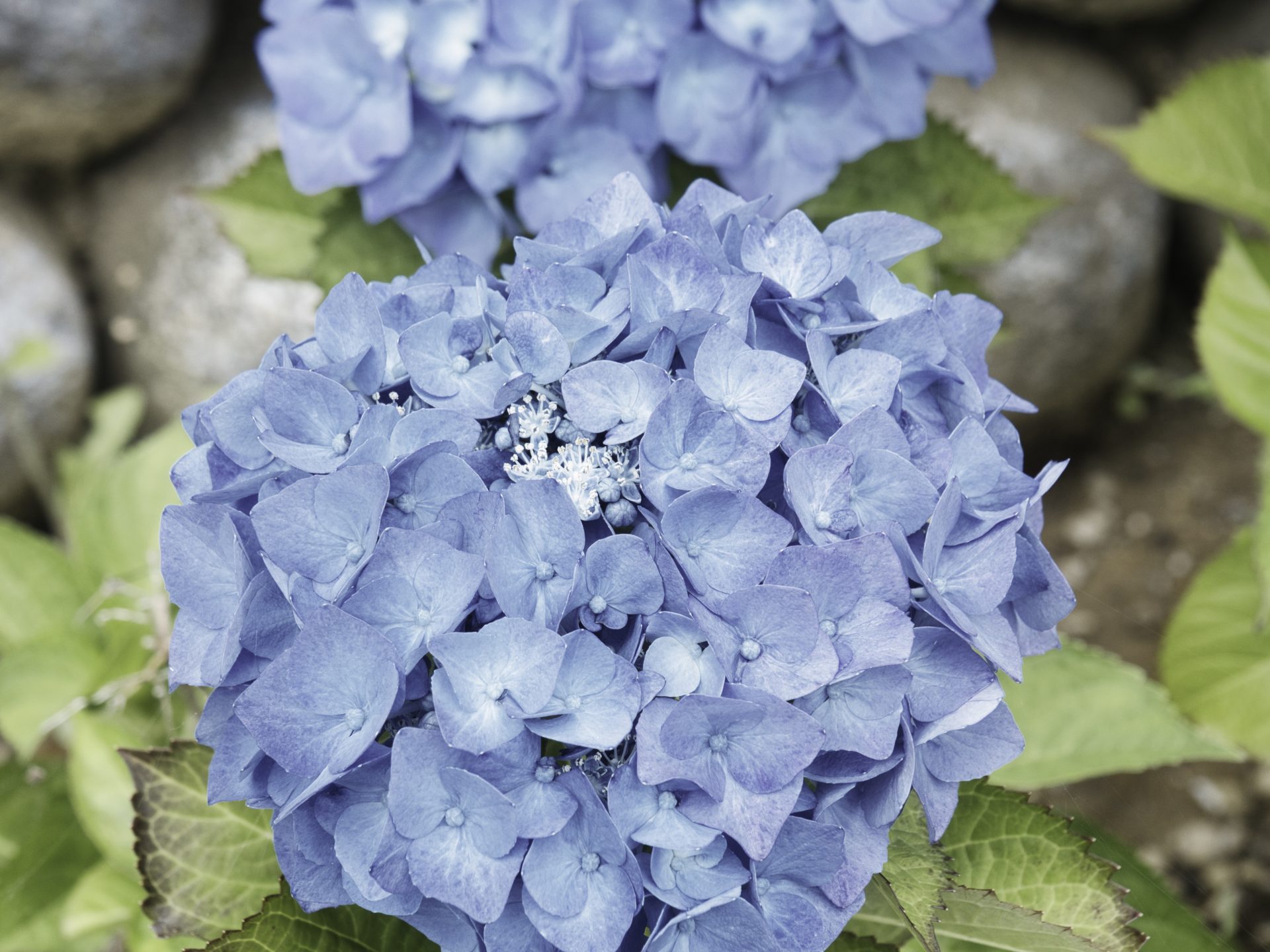 この時期は方程式の話ばかりしています