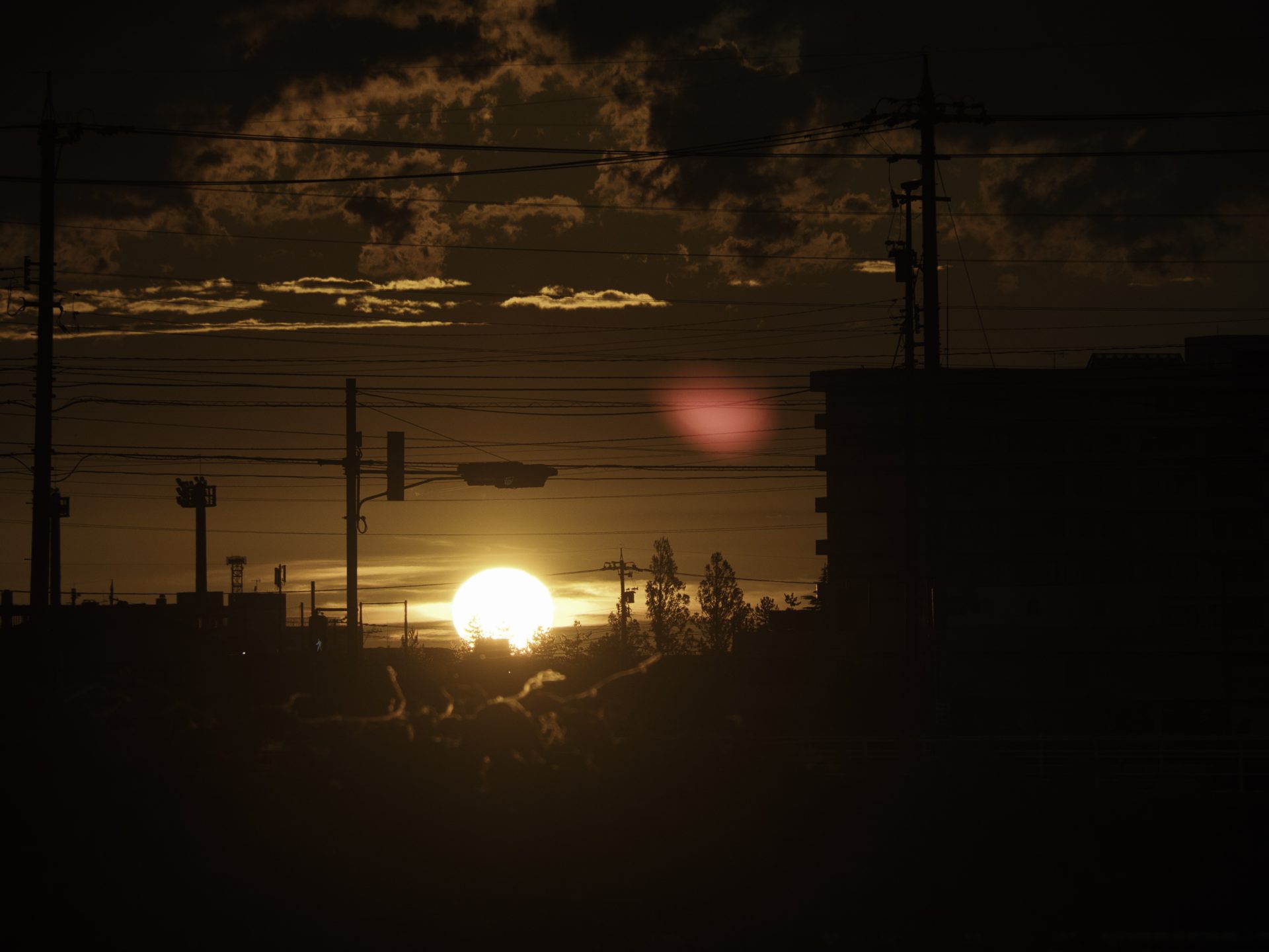 気がつけば7月も終わりますね