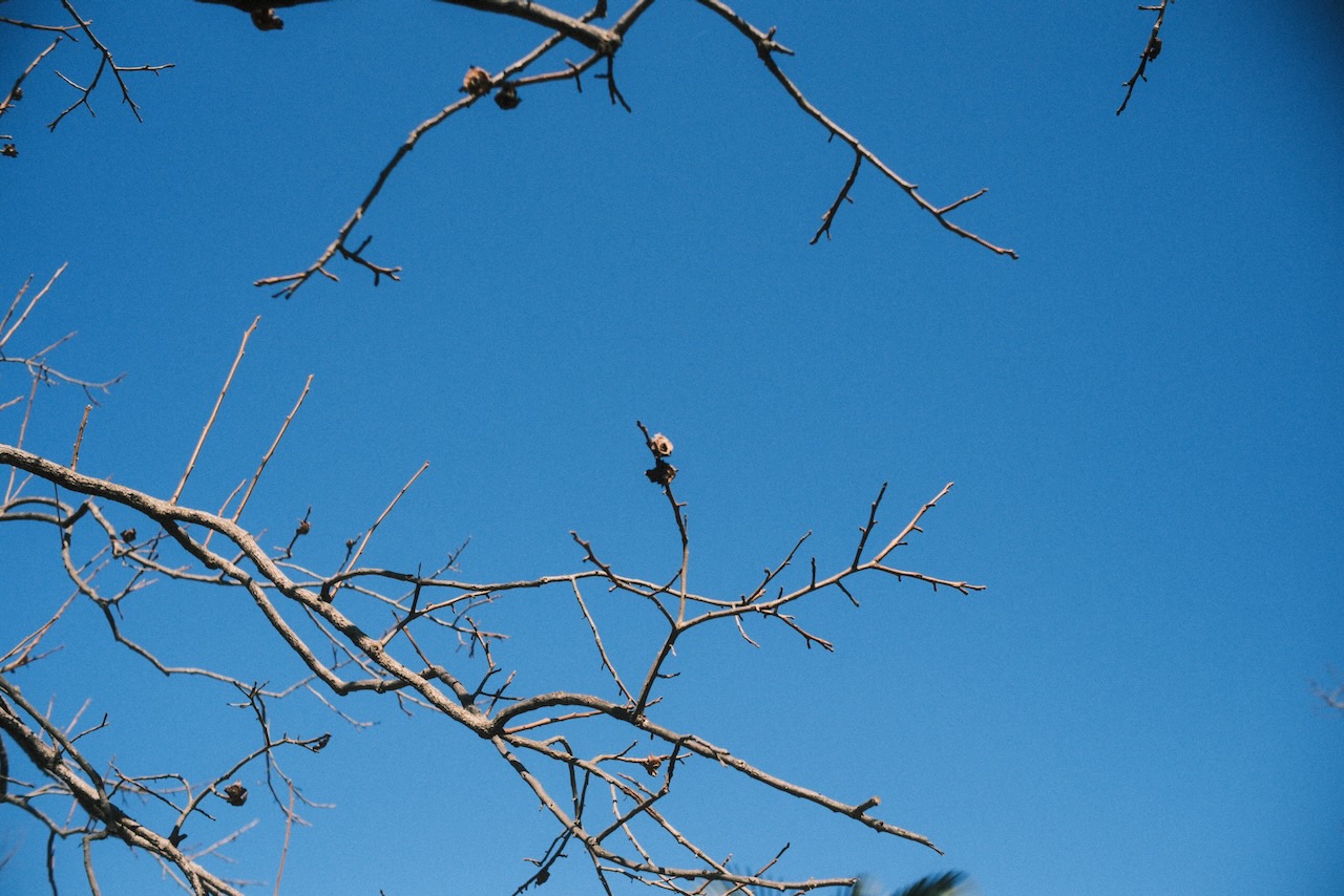 2024年度第8回石川県総合模試の結果から