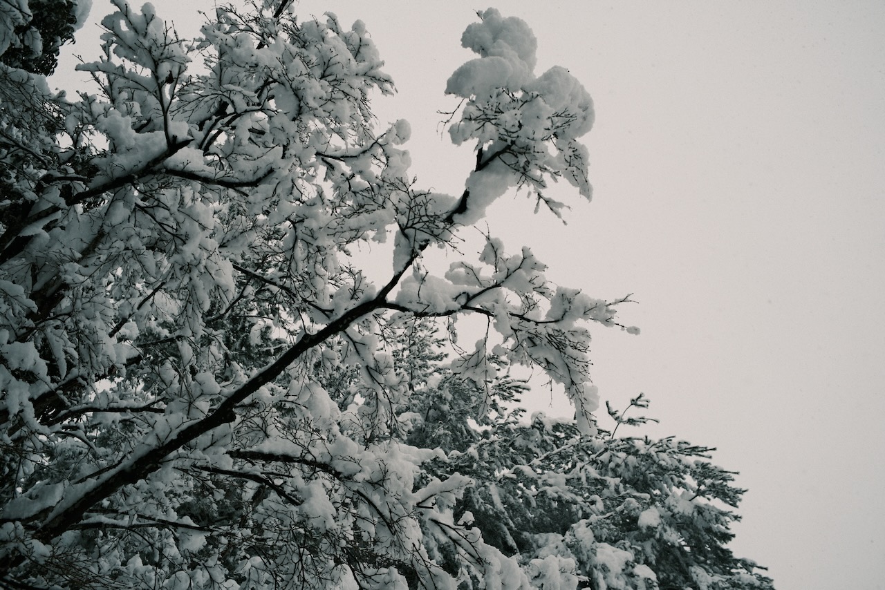 2024年度第8回石川県総合模試の数学を解いてみた