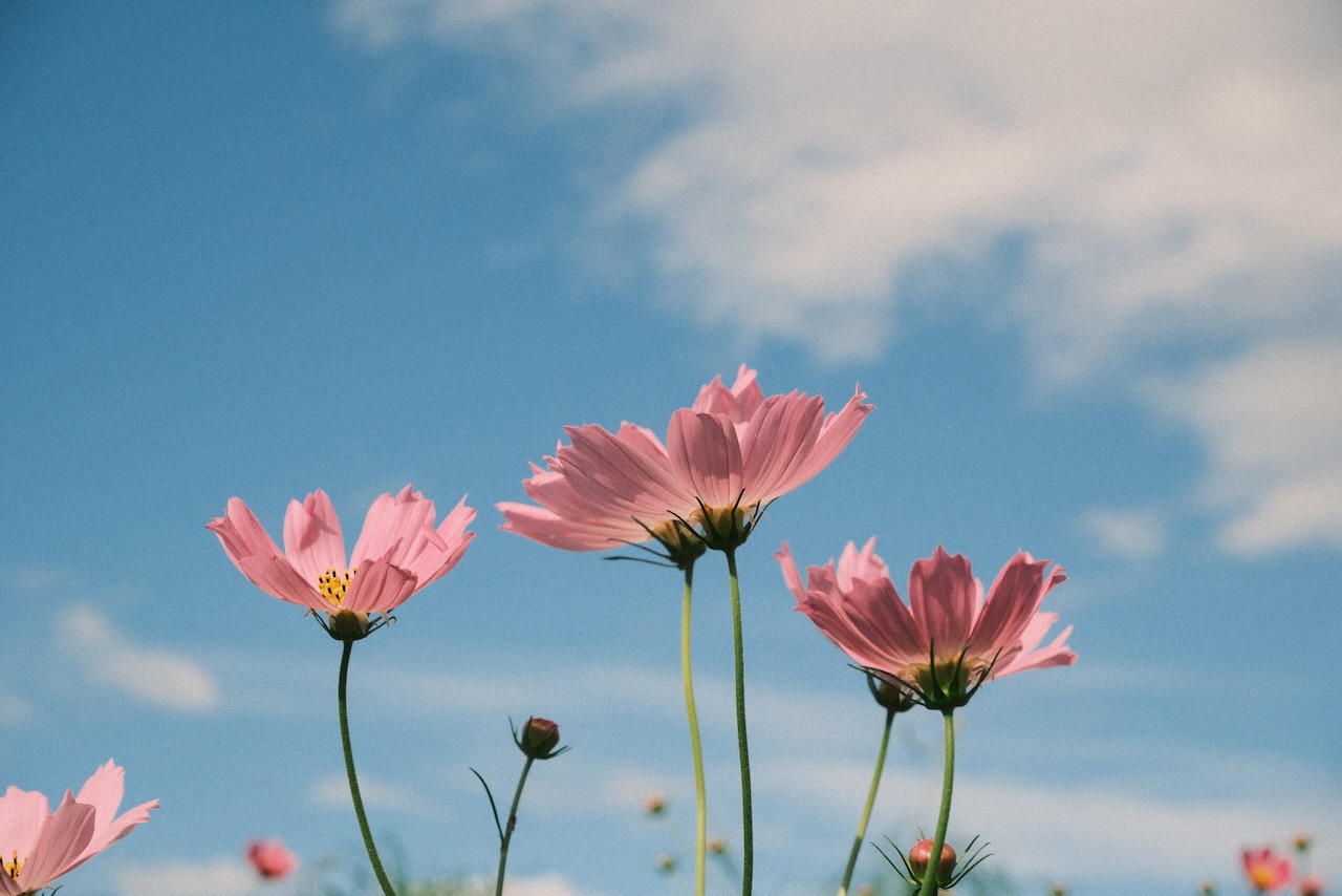 算数を通して思考力を育むには？