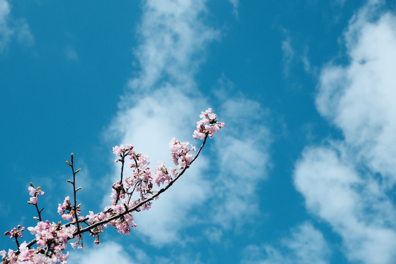 なぜその計算で正解になるのか？高校数学のスタートラインで伝えたい大切なこと