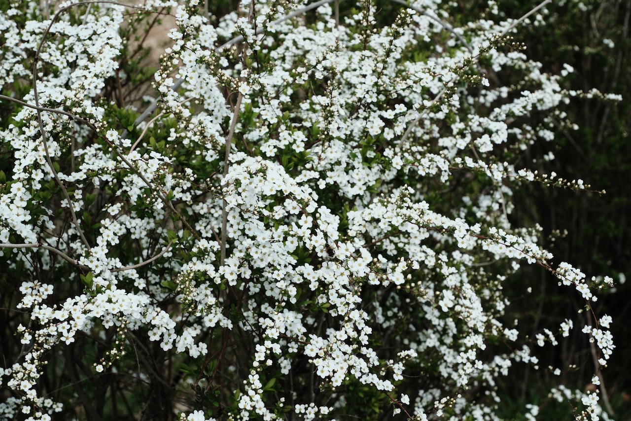 4月のスタートによせて